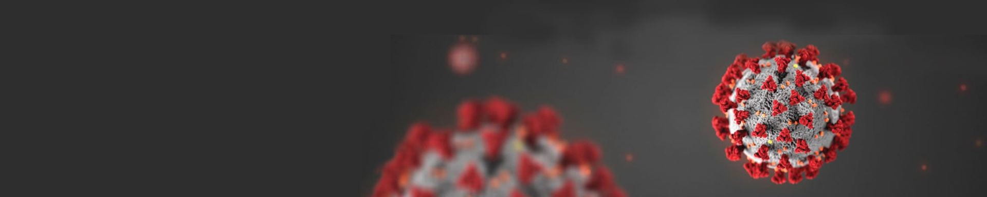 Close-up digital rendering of the COVID-19 virus, showcasing its spherical shape with spike proteins colored in red, and a grey background. The virus structure is highlighted with detailed textures, emphasizing the characteristic appearance of the virus.