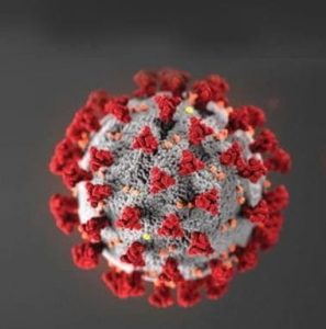 A three-dimensional, close-up illustration of the COVID-19 virus with a grey spherical surface covered in red spike proteins against a dark background. The virus appears textured and detailed, encapsulating the microscopic intricacies that have influenced global health and estate planning trends.